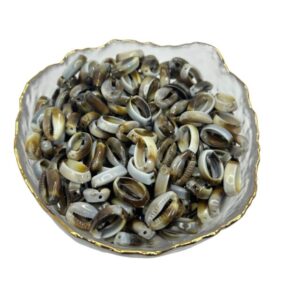 CONTAS BUZIOS LDD-1832 500G